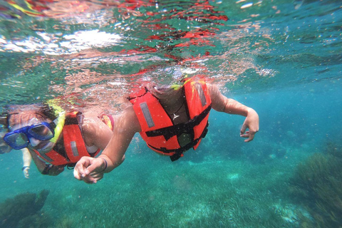 Puerto Morelos: Snorkel in Coral Reef with transportation Tour from Tulum
