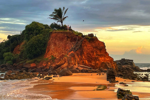 Verken de zuidelijke kust van Sri Lanka met Mr.Scooter($40)