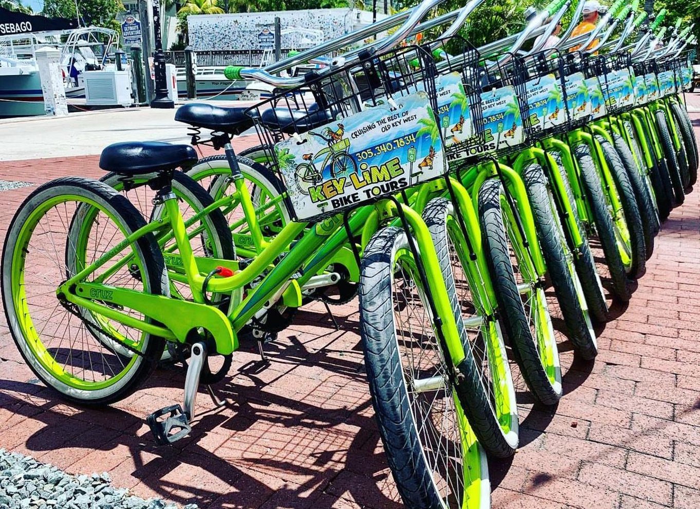 Key West: Guidet cykeltur med Key Lime Pie