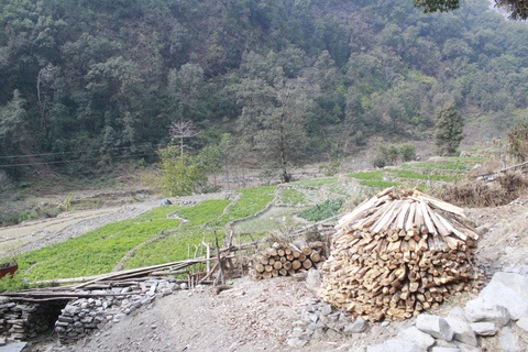 Découvrez la magie de Poon Hill : Un trek de 4 jours au départ de Pokhara