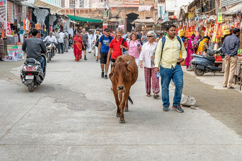 Bezoek Pushkar vanuit Jaipur met Jodhpur-drop zonder gids