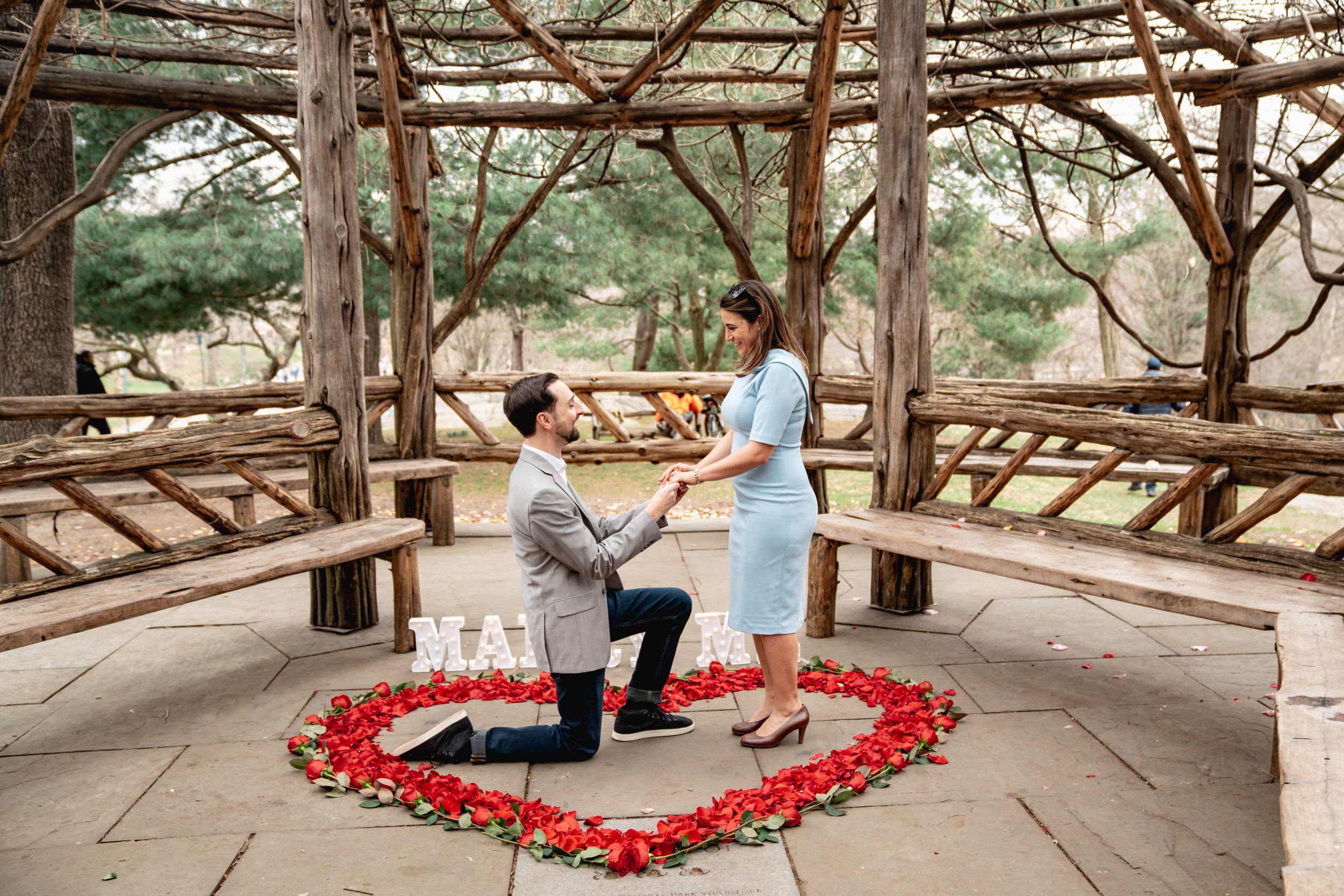 Fotos von einem geheimen Heiratsantrag im Central Park, New York