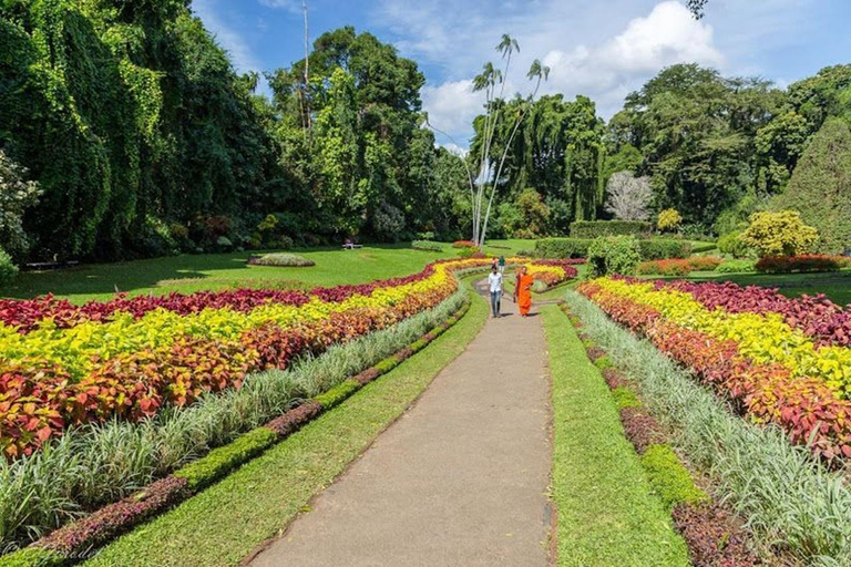 Bentota: Kandy Day Tour with Temple of the tooth & Gardens