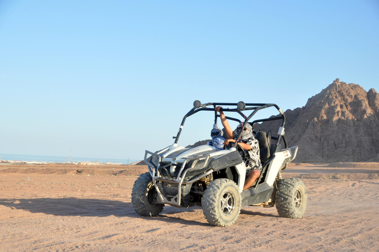 Sharm El Sheikh: 5-in-1 Quad, Camel, Dinner & Stargazing