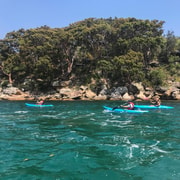 Sydney: Guided Kayak Tour of Manly Cove Beaches