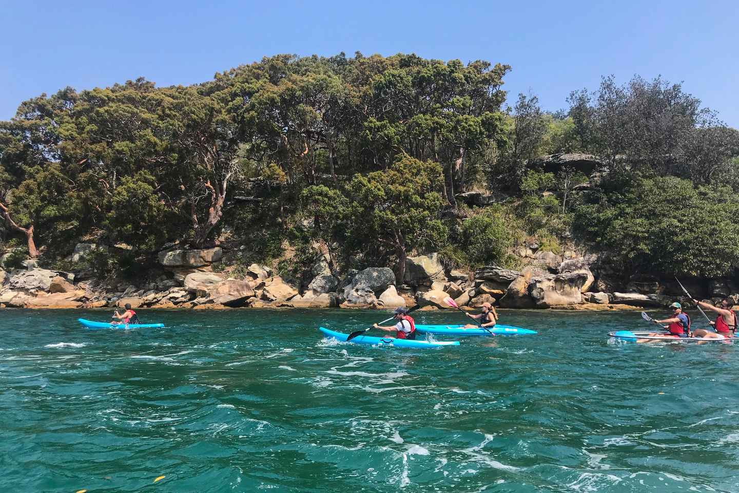 Sydney: Guided Kayak Tour of Manly Cove Beaches - Sydney: Guided Kayak Tour of Manly Cove Beaches