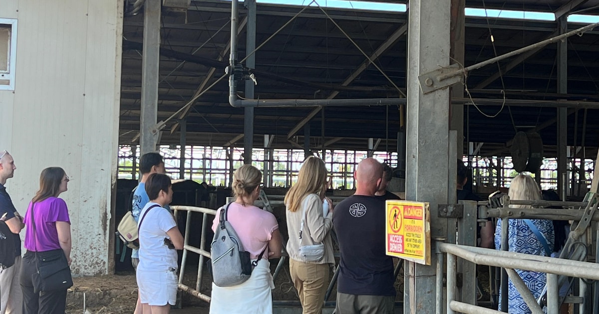 Parmesan, Wein, Balsamico Ganztagestour mit Mittagessen | GetYourGuide