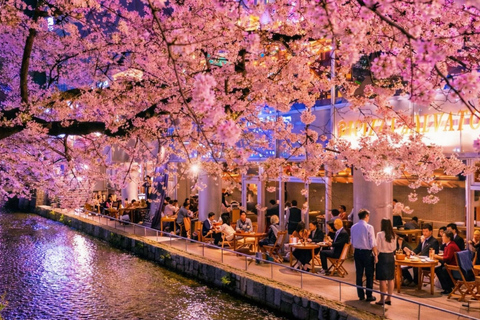 Limited Kyoto Evening: Sakura, Sake & Night Festival Vibes Package A: Cherry Blossom Limited - Sakura Drinking Party