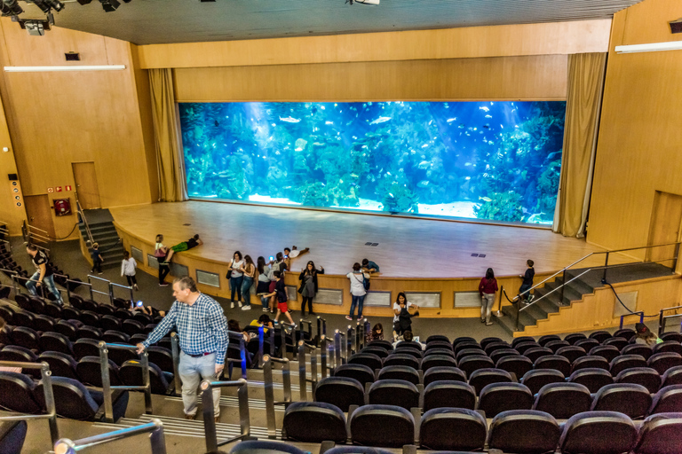 Valencia: Oceanogràfic TicketNicht erstattbar: Eintrittskarte zum L'Oceanogràfic