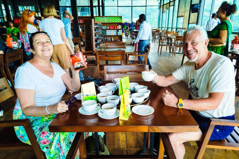 From Kandy: Nuwara Eliya Private Day Trip with Tea Factory