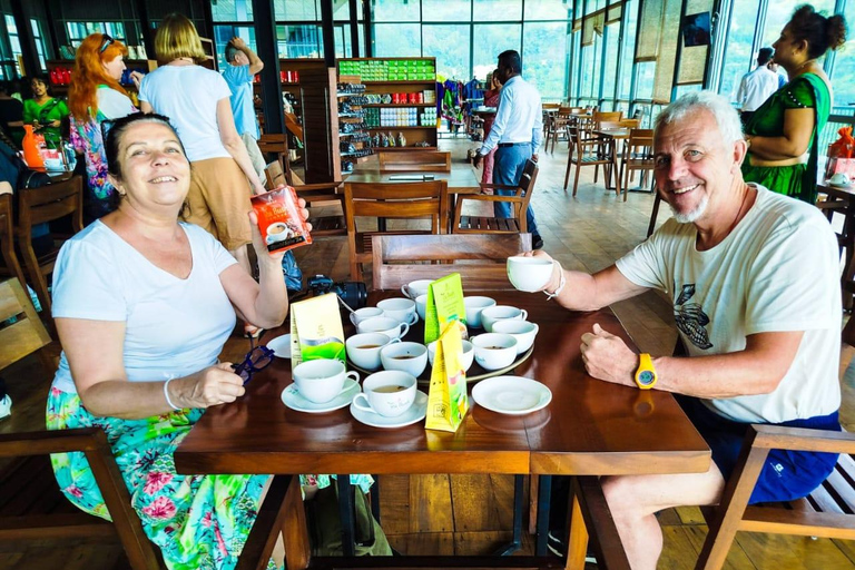 From Kandy: Nuwara Eliya Private Day Trip with Tea Factory