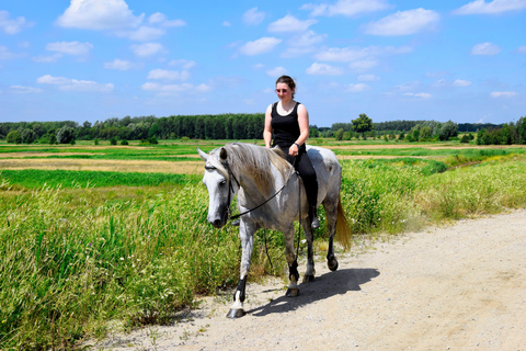 Bernex: Scenic Horse Ride and Gentle Pony Walks