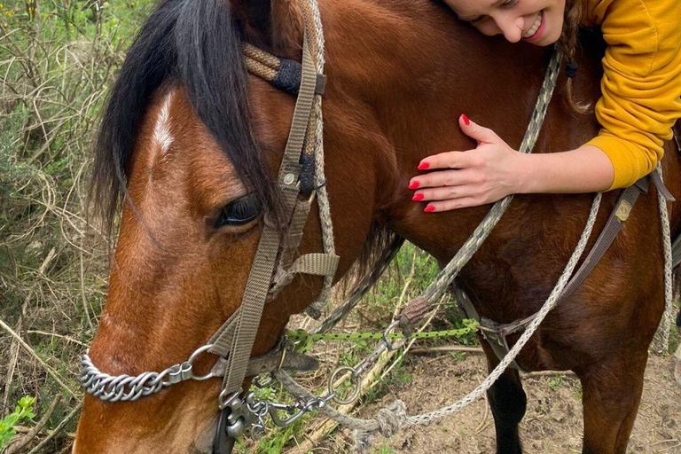 Bogota: Horseback Riding through the Eastern Hills