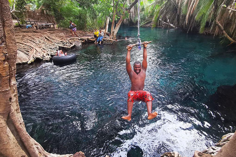 Tour delle sorgenti termali di Chemka, delle cascate di Moshi Materuni e del caffè