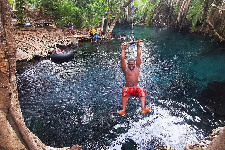 Termas de Chemka, Cascadas de Moshi Materuni y Tour del Café