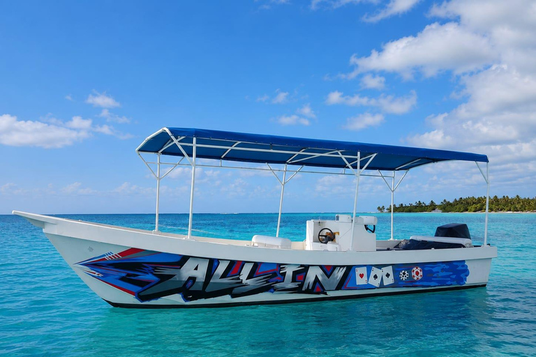 From Cancún: Isla Mujeres Snorkel & Spearfishing Escape