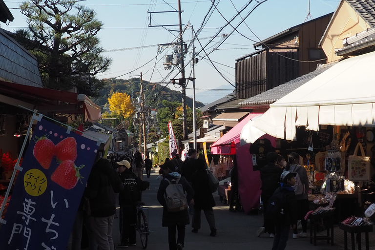 E-Bike Tour in Kyoto with Asuka, Japanese graduate student