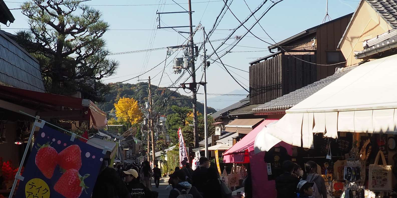 Kyoto experience — temples, geisha, bamboo grove — image 75