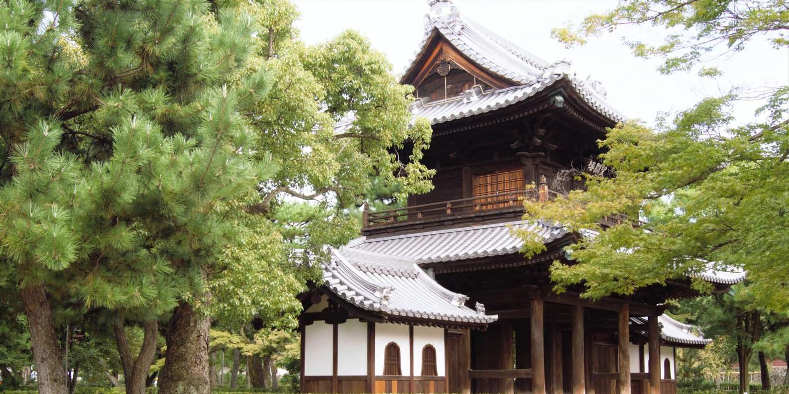 Kyoto experience — temples, geisha, bamboo grove — image 11