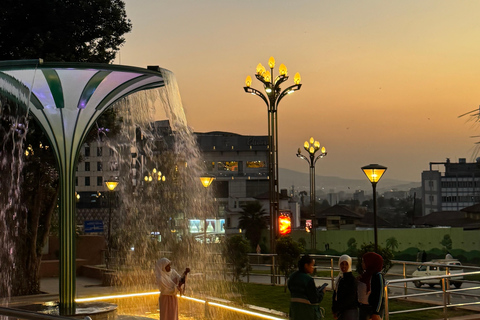 Addis Ababa Layover Tour: Unity Park, Coffee & Local Lunch