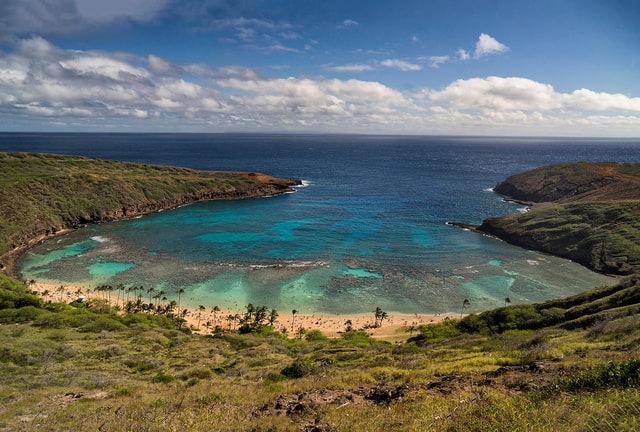 Full Day Best of Oahu Sightseeing Tour