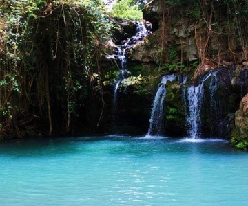 Nanyuki : Ngare Ndare Day Trip