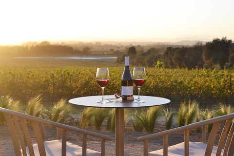 Pals: Visit Celler Mas Geli with wine tasting and local products Pals: Visit Celler Mas Geli with wine and local product tasting