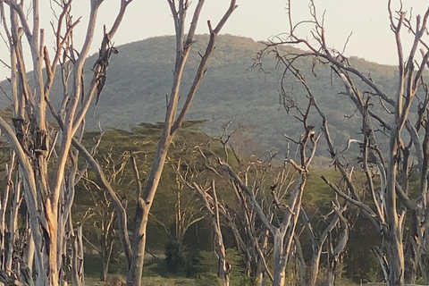 Lake Camping, Hell’s Gate, Quad bike & Crater Lake Naivasha