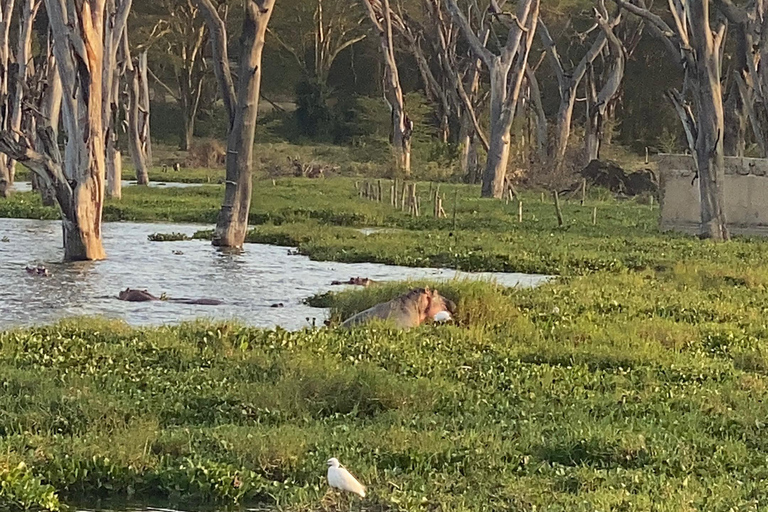 Lake Camping, Hell’s Gate, Quad bike & Crater Lake Naivasha