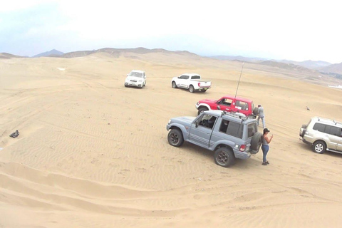 Vanuit Lima: 4x4 Tour door de Chilca-woestijn Halve dag