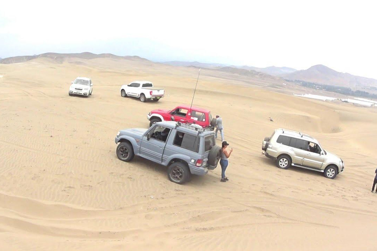 Vanuit Lima: 4x4 Tour door de Chilca-woestijn Halve dag