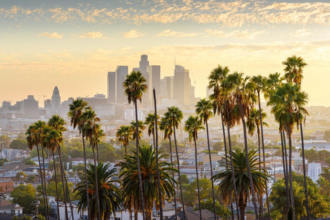 Los Angeles: City Tour with Italian Guide and Hotel Pickup