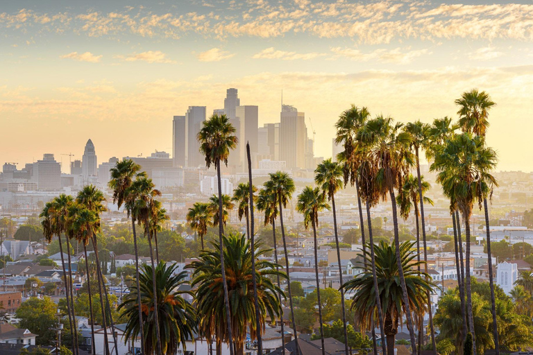 Los Angeles: City Tour with Italian Guide and Hotel Pickup