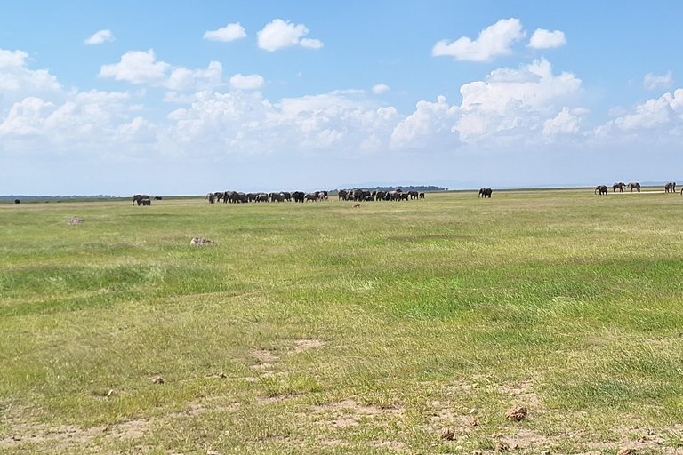 Nairobi: Amboseli National Park Tagestour mit PirschfahrtenSolo Nairobi: Amboseli National Park Tagestour