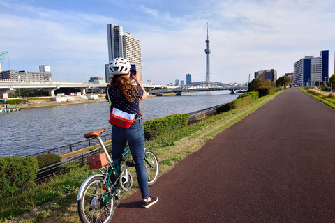 Tokyo: 3 timmars privat cykeltur med elcykel som börjar vid ditt hotell