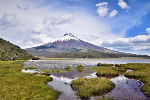 Z Quito: Wycieczka do wulkanu Cotopaxi i laguny Limpiopungo