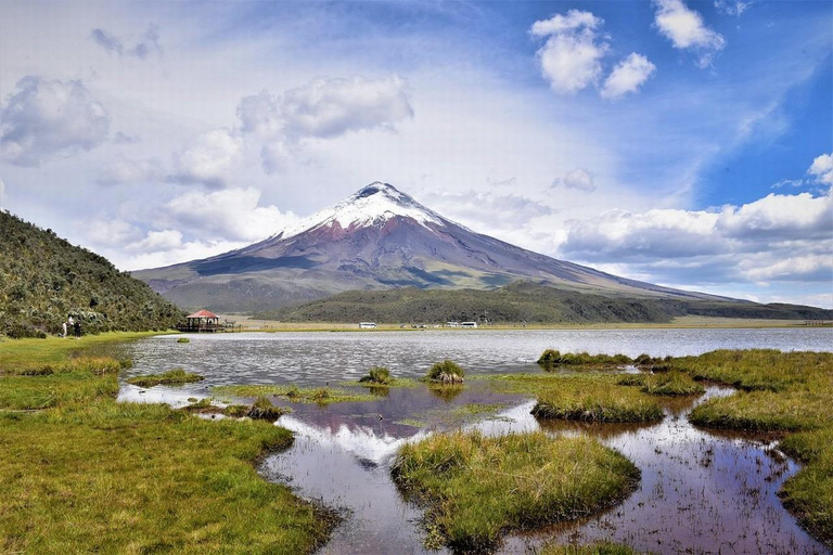 Från Quito: Tur till vulkanen Cotopaxi och lagunen Limpiopungo