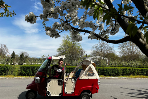 Bucareste: Tuk Tuk City TourBucareste: Passeio de Tuk Tuk pelo Comunismo