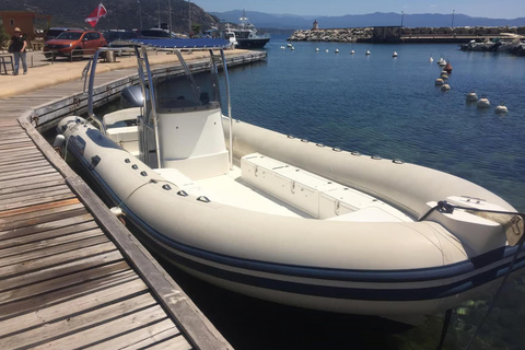 Corsica: Cargèse Guided Snorkeling Tour with Instructor