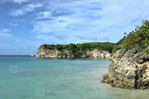 Punta cana:Extreme Atv adventure horseback &amp; amazing cenoteExtreme offroad adventure with horseback &amp; amazing cenote