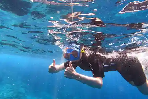 Join us on a snorkel boat tour