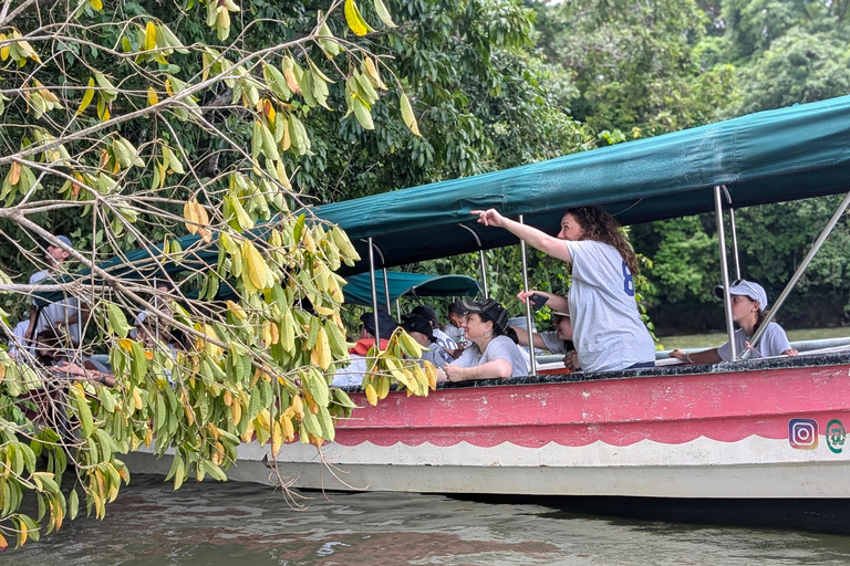 Panama City: Małpia Wyspa i rejs wycieczkowy po jeziorze Gatun