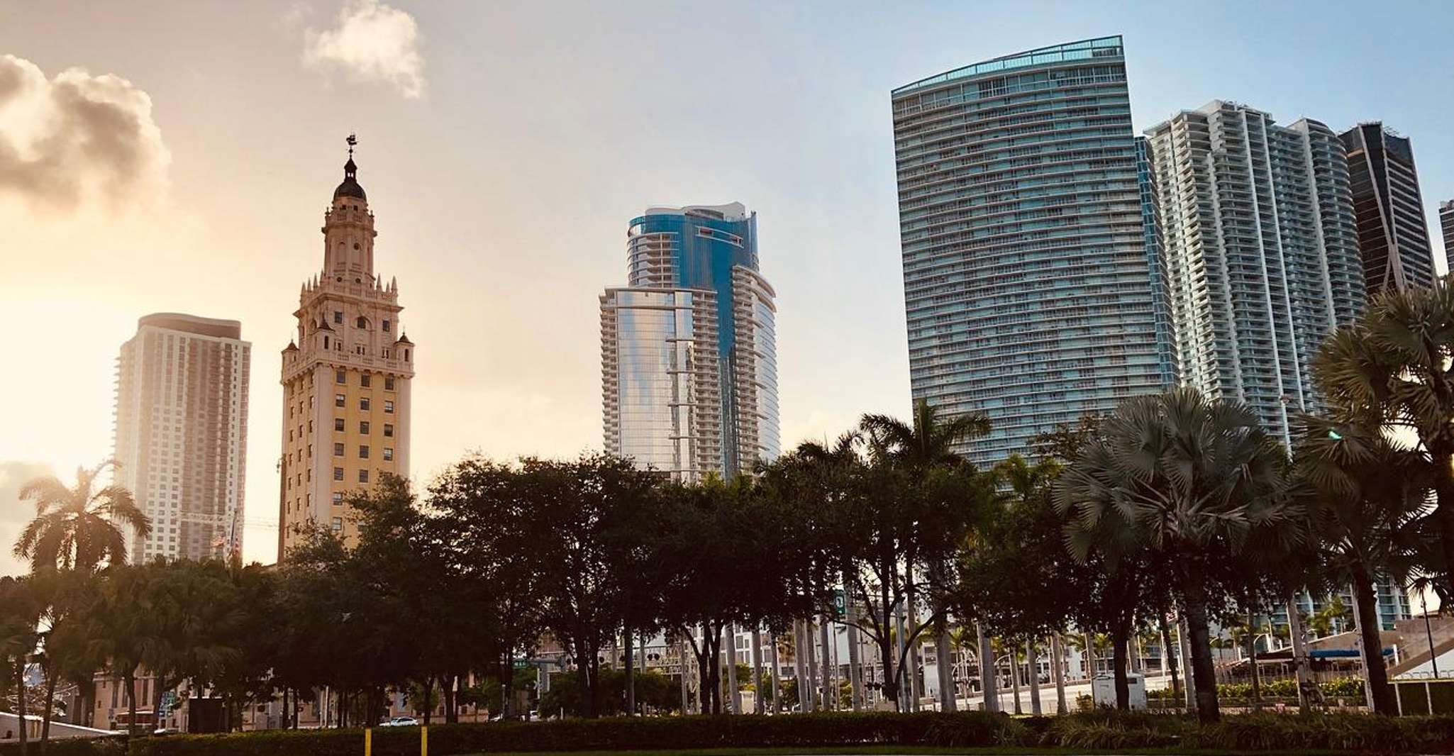 Miami Skyline Cruise of Millionaire Homes photo 10