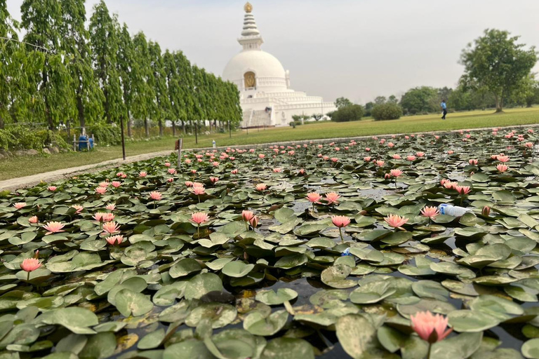 Kathmandu: 3-Day Lumbini Buddhists Spiritual Tour with Hotel