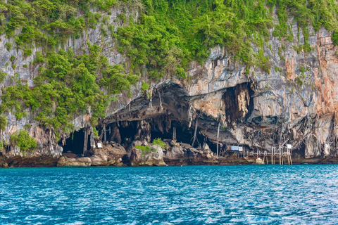 Phuket: Phi Phi Islands Day Trip with Meals & Transfer