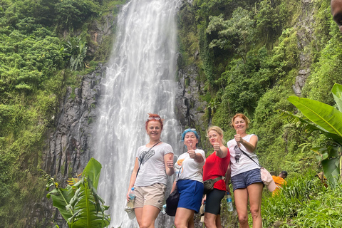 恩戈罗恩戈罗至吉力马扎罗山麓2日经济之旅恩戈罗恩戈罗至马特鲁尼和咖啡之旅（2 天经济之旅）