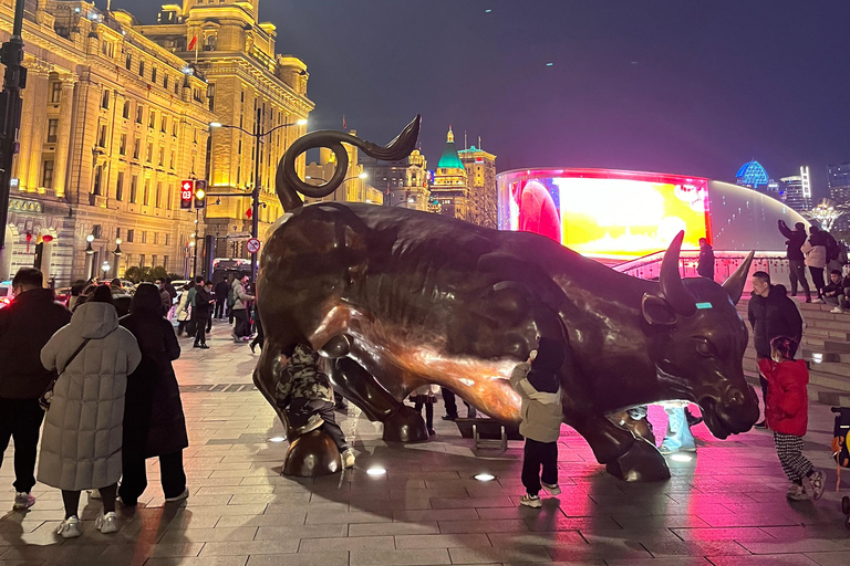 Shanghai: tour privato personalizzabile di 4 ore dei luoghi più importantiShanghai: tour di 4 ore con guida privata e macchina privata