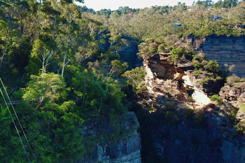 Japanese Tour Small Group: Blue Mountains, Scenic World, Zoo