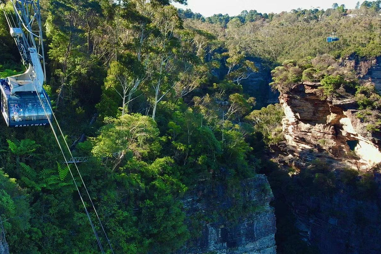 Japanese Tour Small Group: Blue Mountains, Scenic World, Zoo