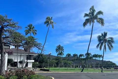 Oahu: Half Circle Island Tour with Local Guide